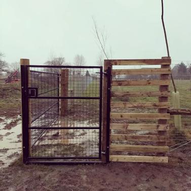 Dog security gate top